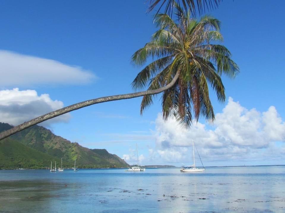 Beach De Reve De Moorea Hauru Exteriör bild