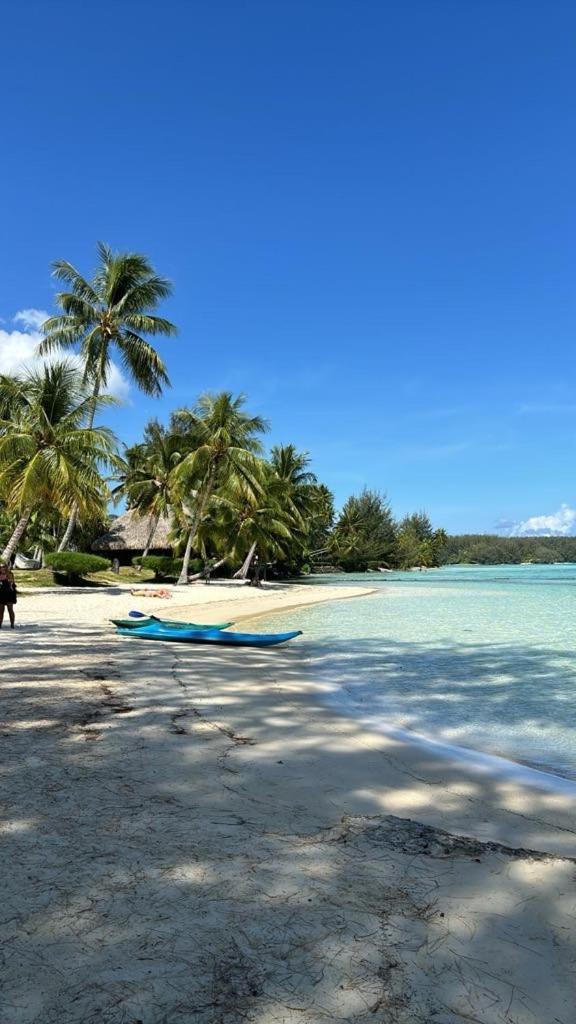 Beach De Reve De Moorea Hauru Exteriör bild